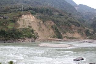 十一月二十六日绿家园江河信息