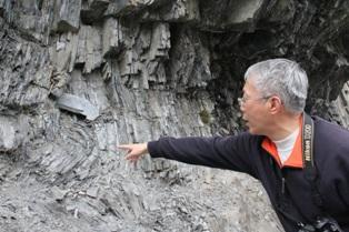 十一月二十九日绿家园江河信息