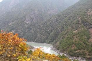 十一月二十九日绿家园江河信息