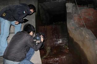 十二月七日绿家园江河信息