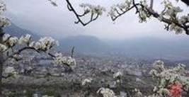 十二月八日绿家园江河信息