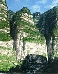 十二月八日绿家园江河信息