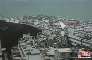 十二月八日绿家园江河信息