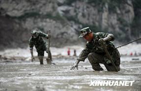 十二月八日绿家园江河信息