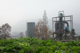 十二月九日绿家园江河信息