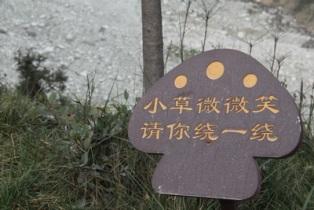 十二月十日绿家园江河信息