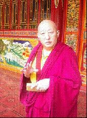 十二月十四日绿家园江河信息